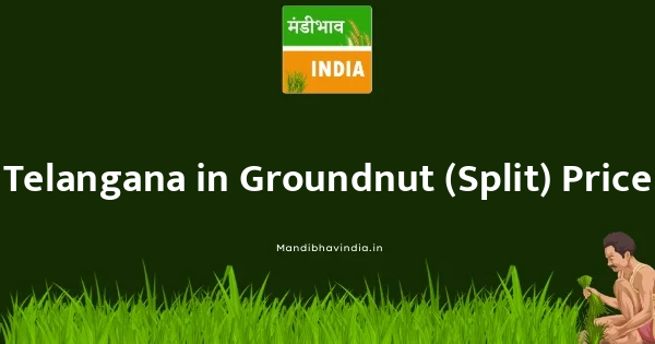 Groundnut (Split) भाव